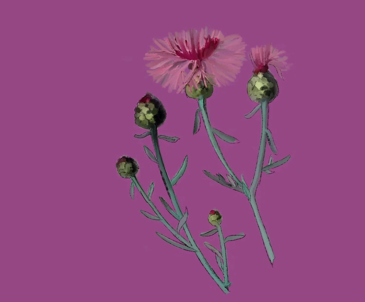 Do insects prefer local or foreign foods?