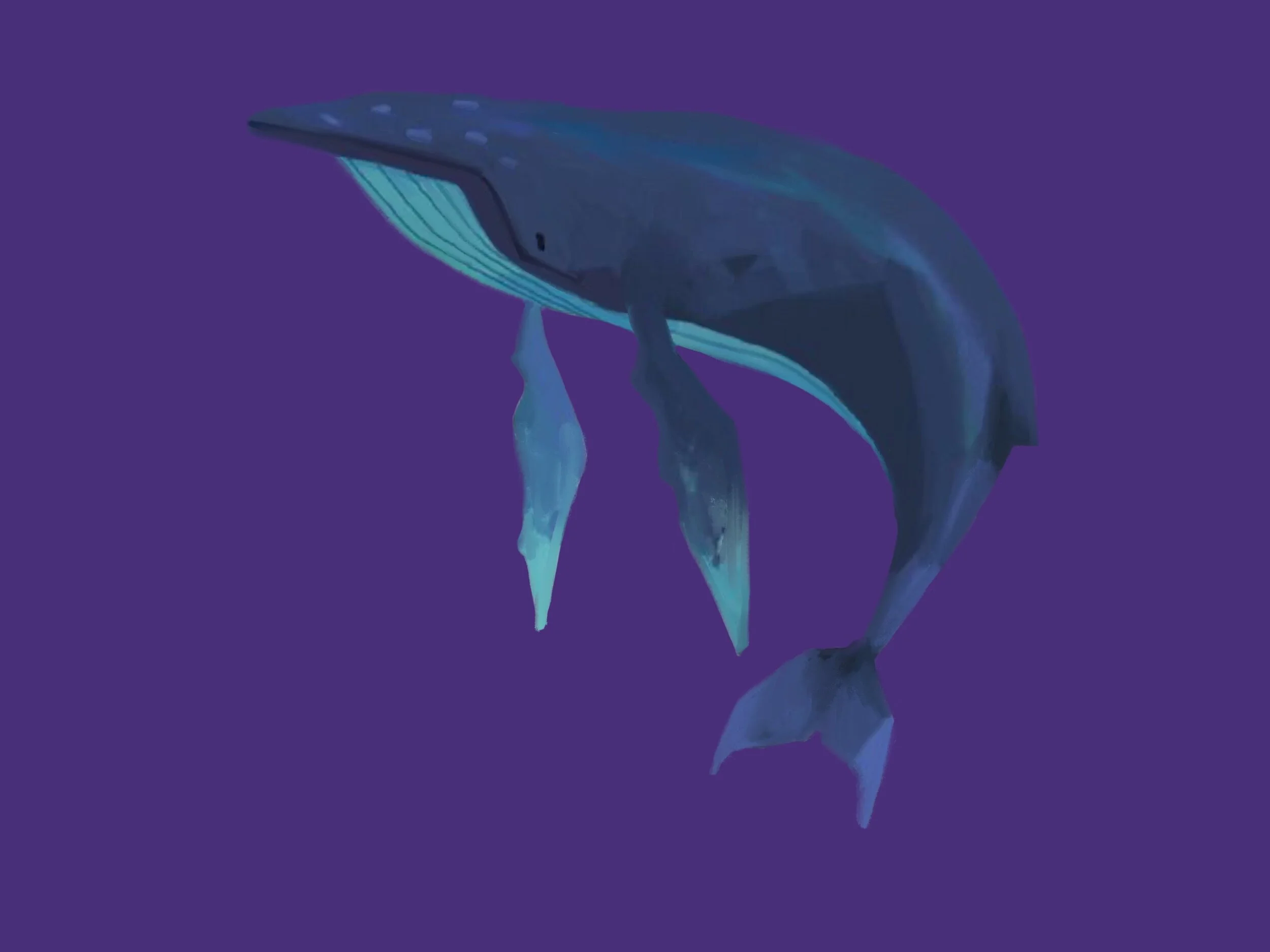 When whale I sea you again?