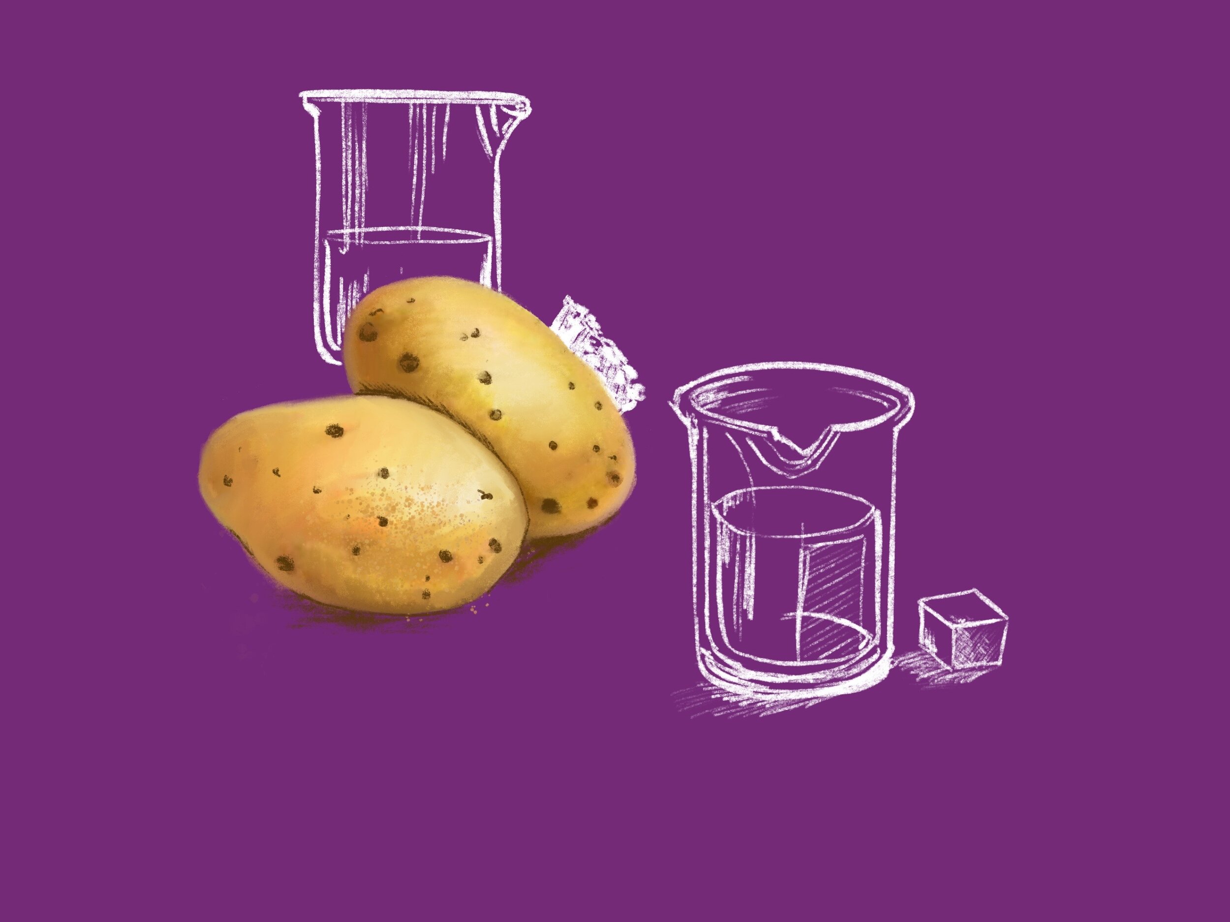 how does sucrose concentration affect osmosis in potato cells