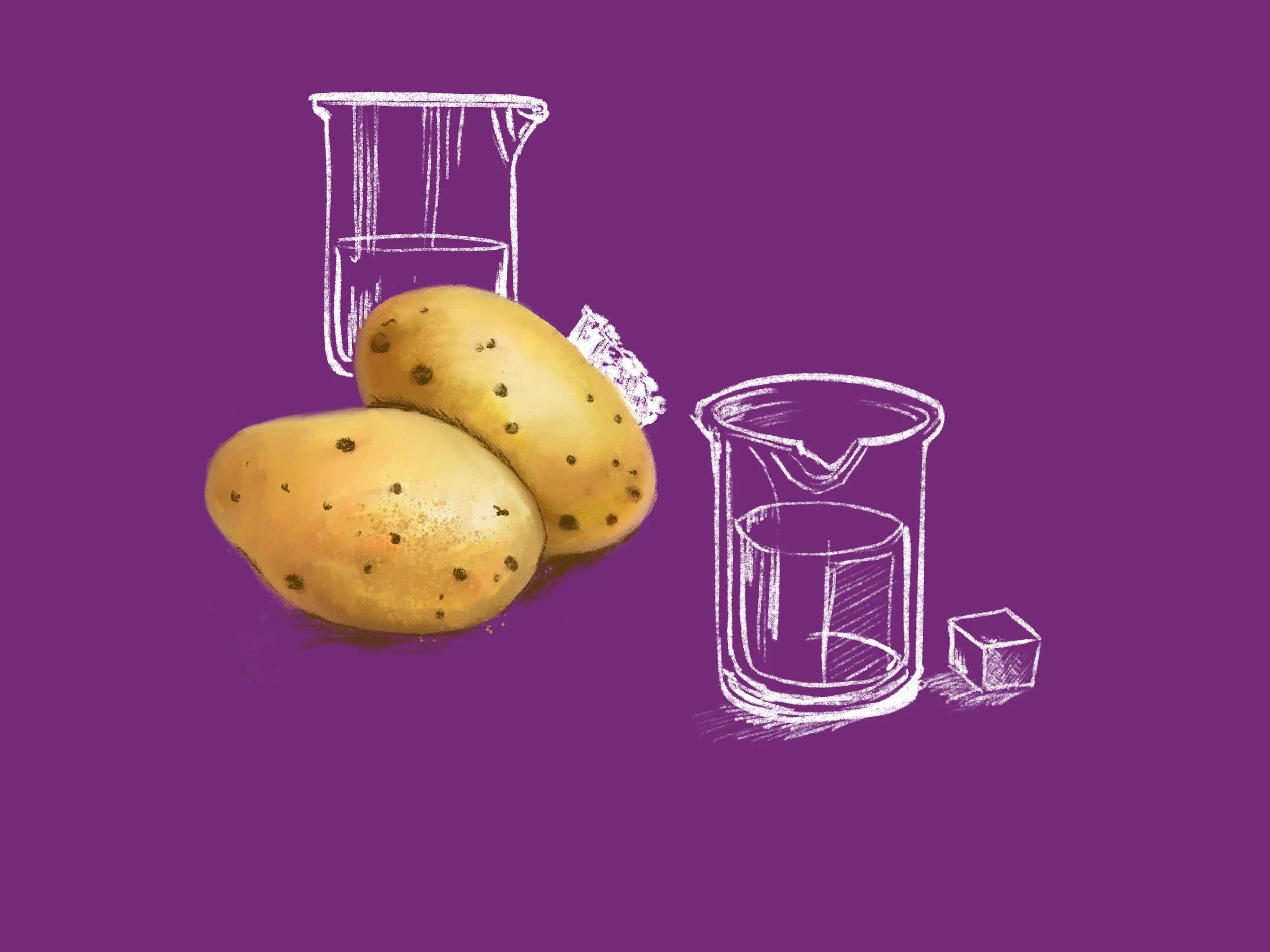 Potato Osmosis Lab