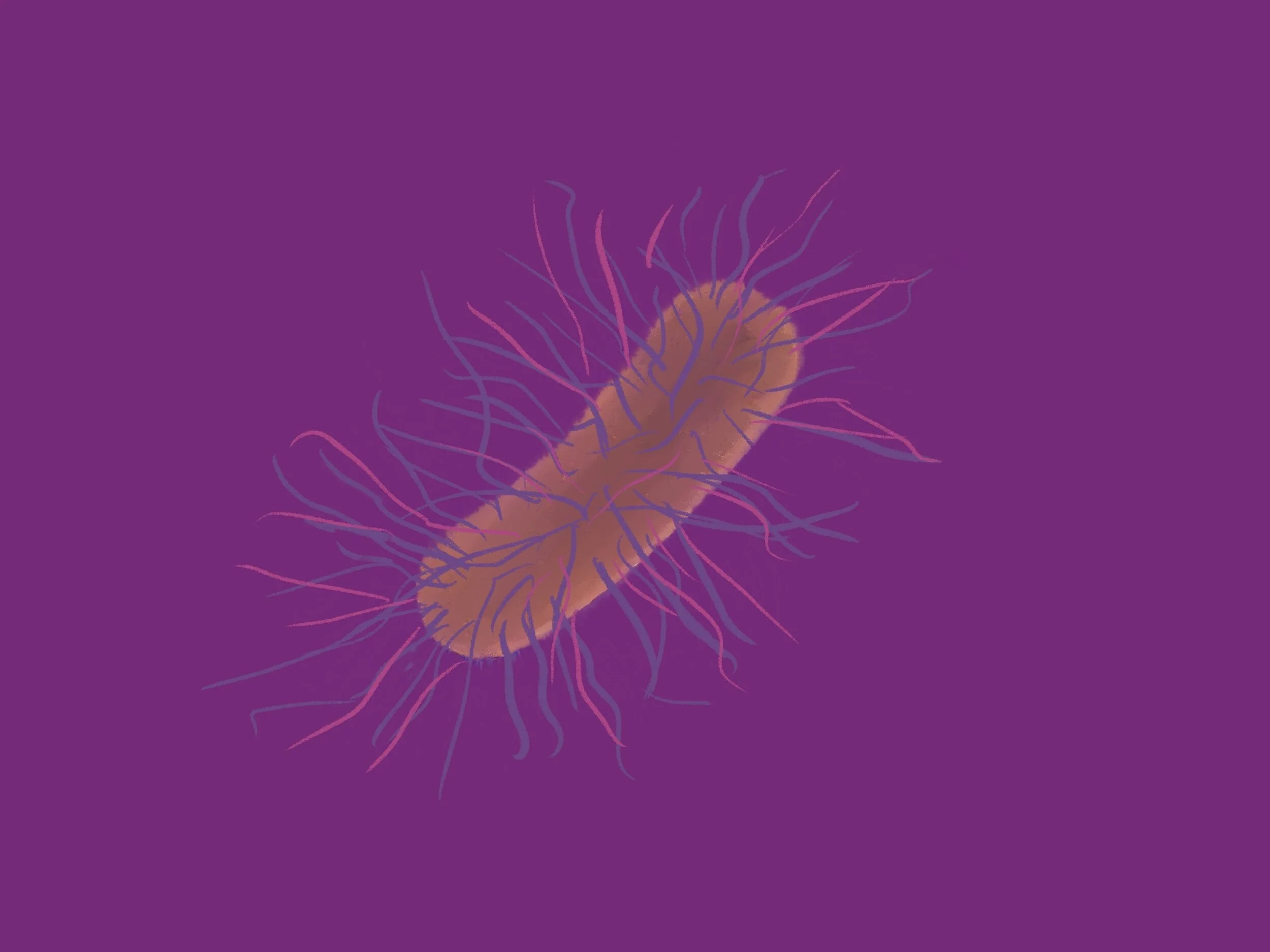Antibiotic Use and Resistance