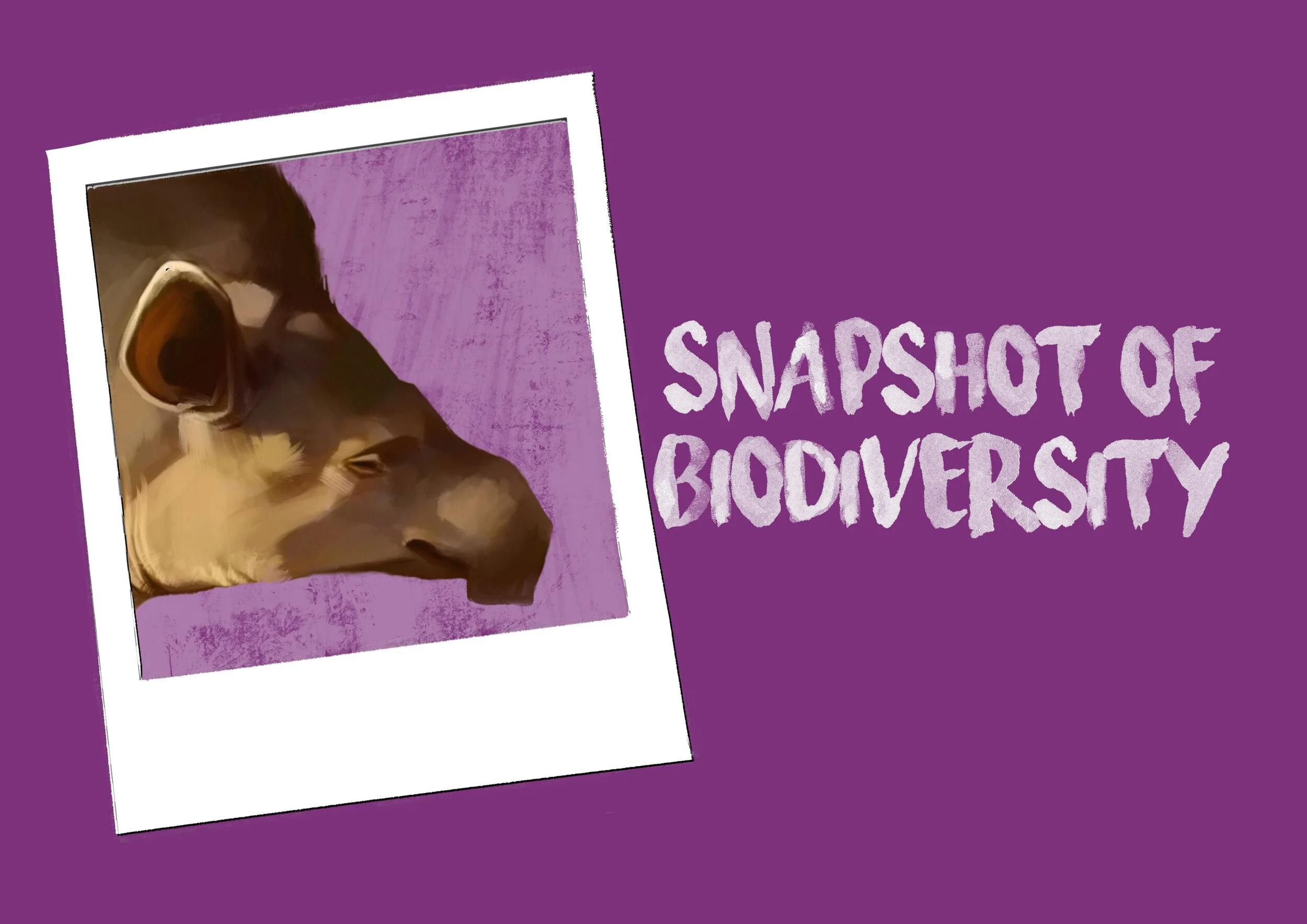 Snapshot of Biodiversity