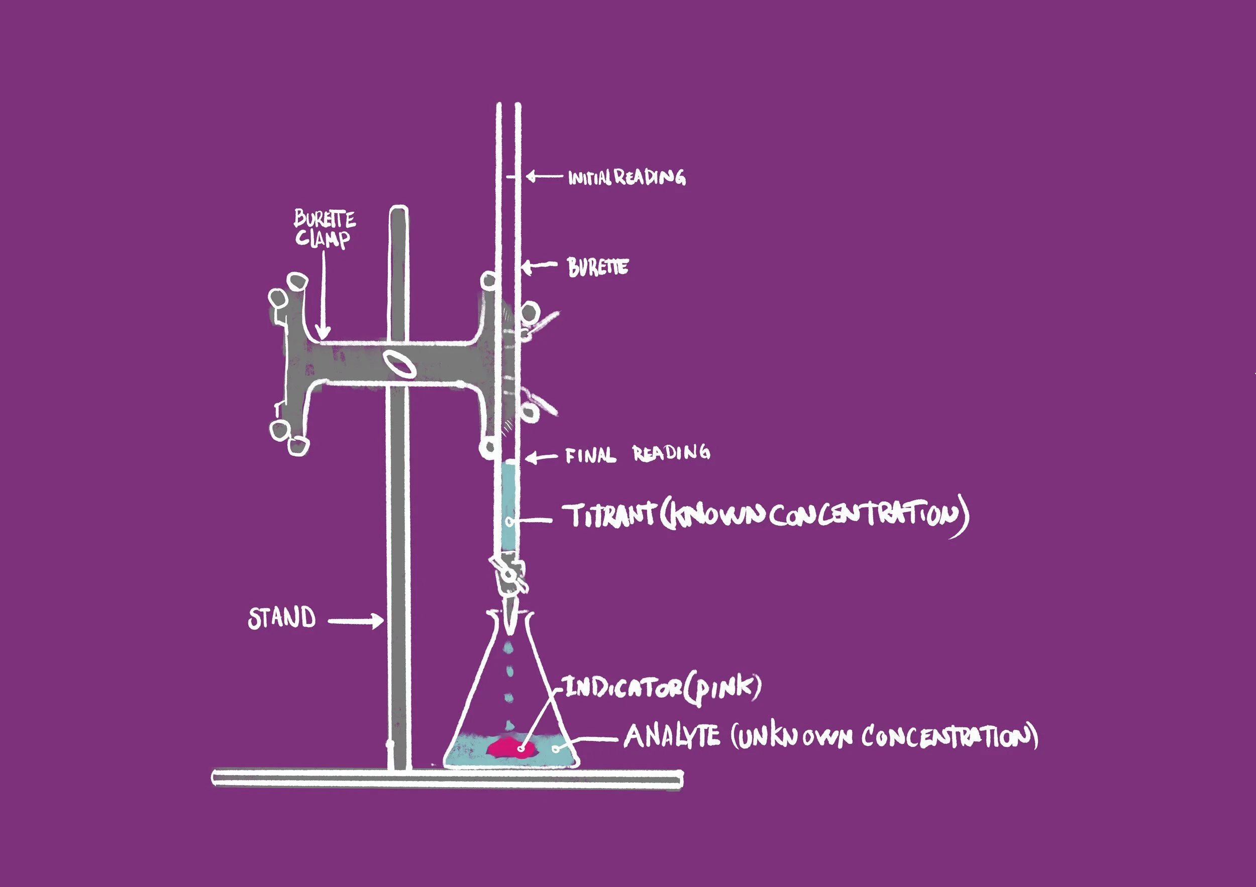 Acid-Base Titration Lab