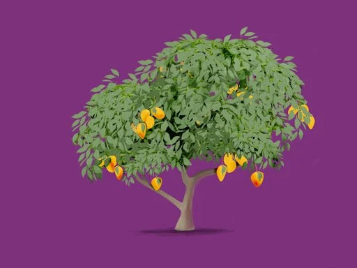 क्या सब्र का फल मीठा होता है ? 