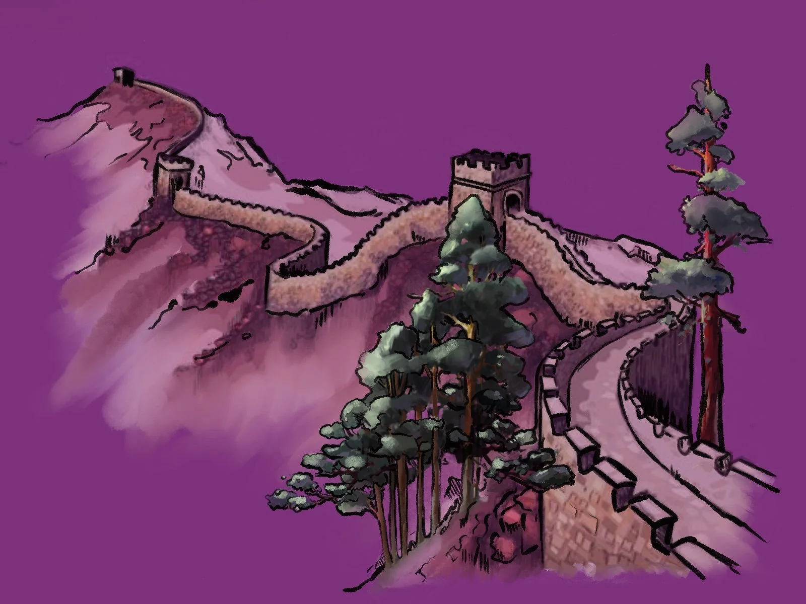 What affects the rate of cellular respiration in plants?