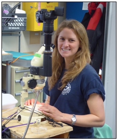 Crunchy or Squishy? How El Niño events change zooplankton