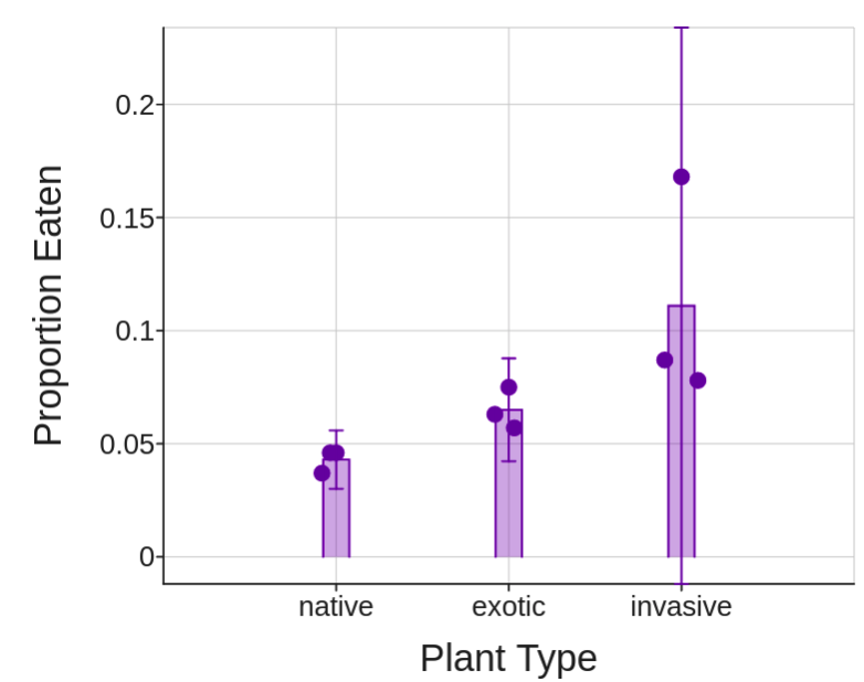 plants.png