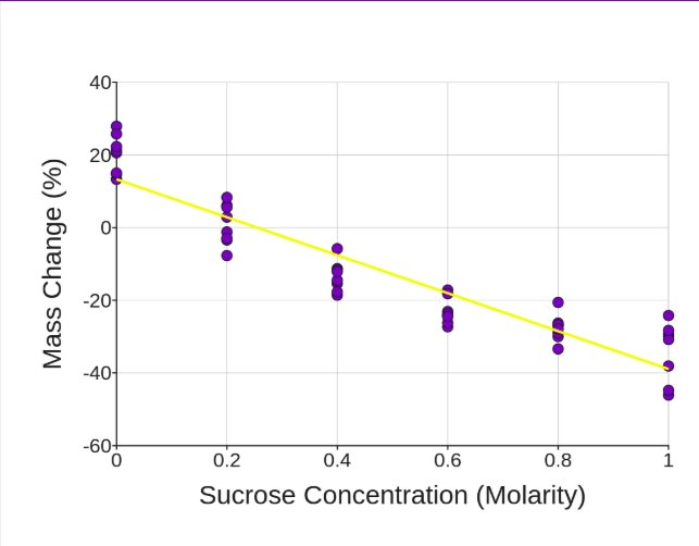 Graph Lab 21