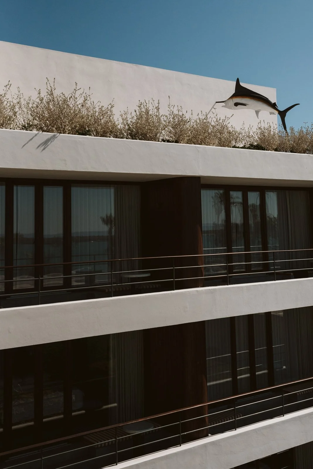 J&J_marialopezphoto_bajaclubhotel210.jpg