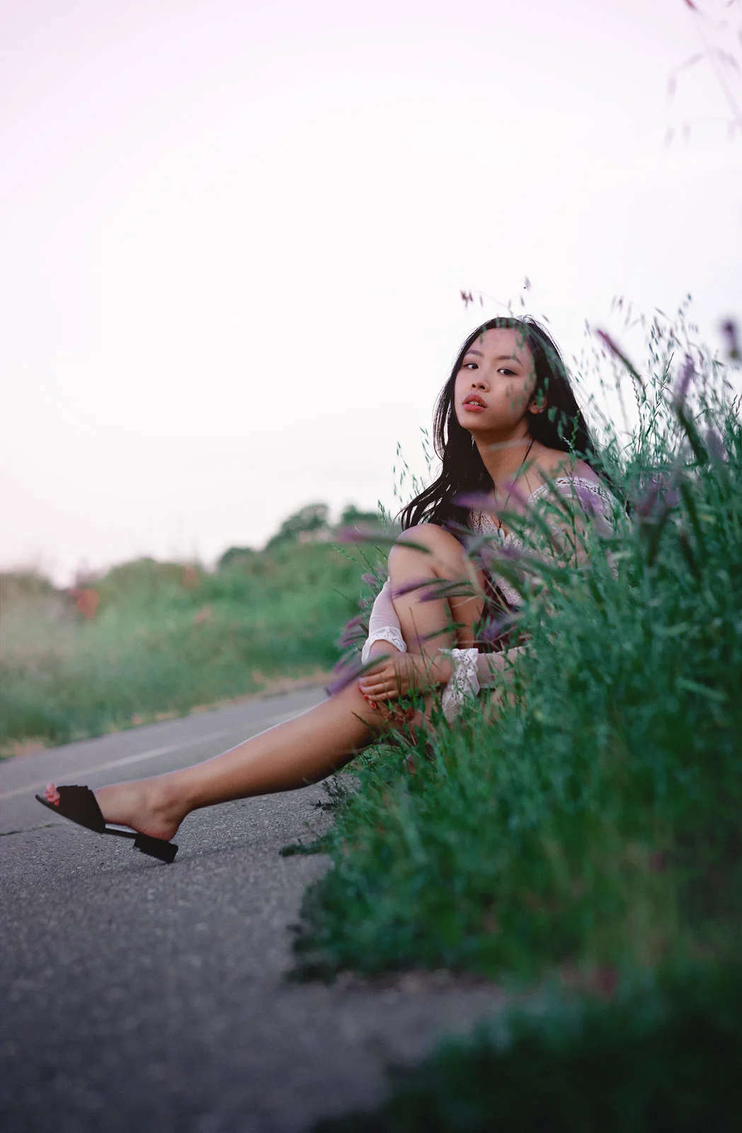 HOI-Daisy-02b.jpg