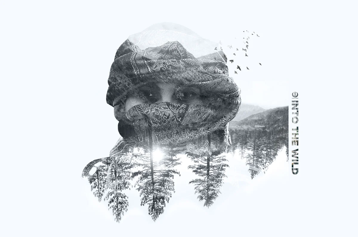 into-the-wild.jpg