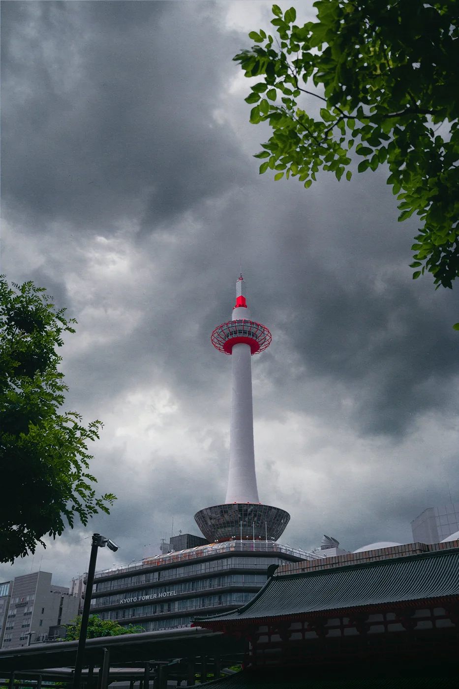 HOI04946.jpg