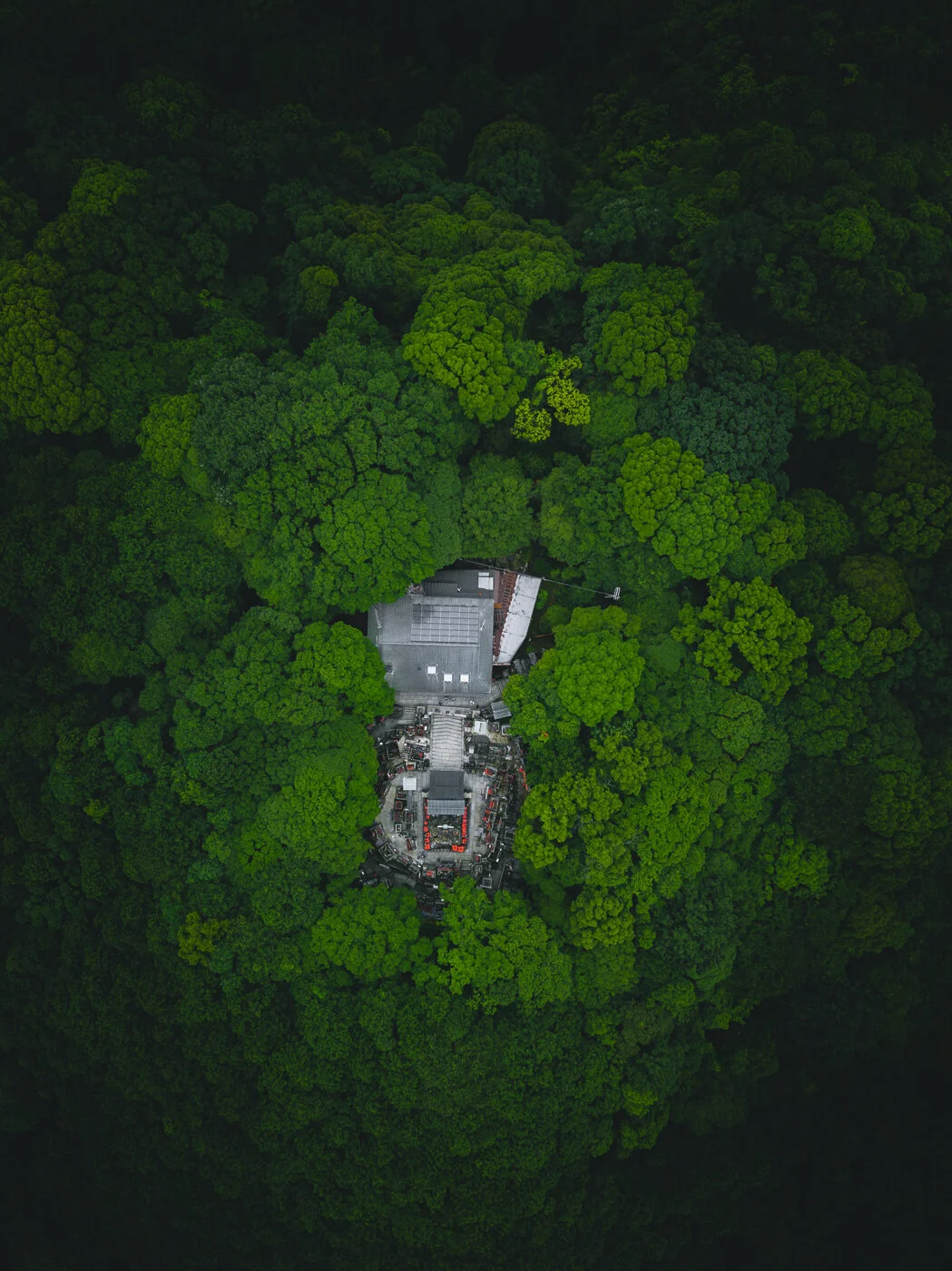 DJI_0325.jpg