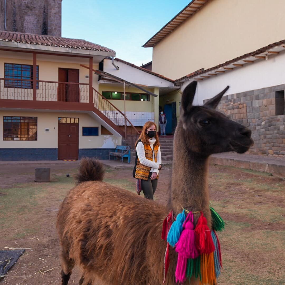 I&rsquo;m surprised how gentle Alpacas are. Thought they&rsquo;d be more skid-dish🦙 
.
.
.
#alpaca #peru #traveloften #shepherd #southamerica #cusco #latinamerica #wunderlust #streetphotography #filmmaker #traveloften