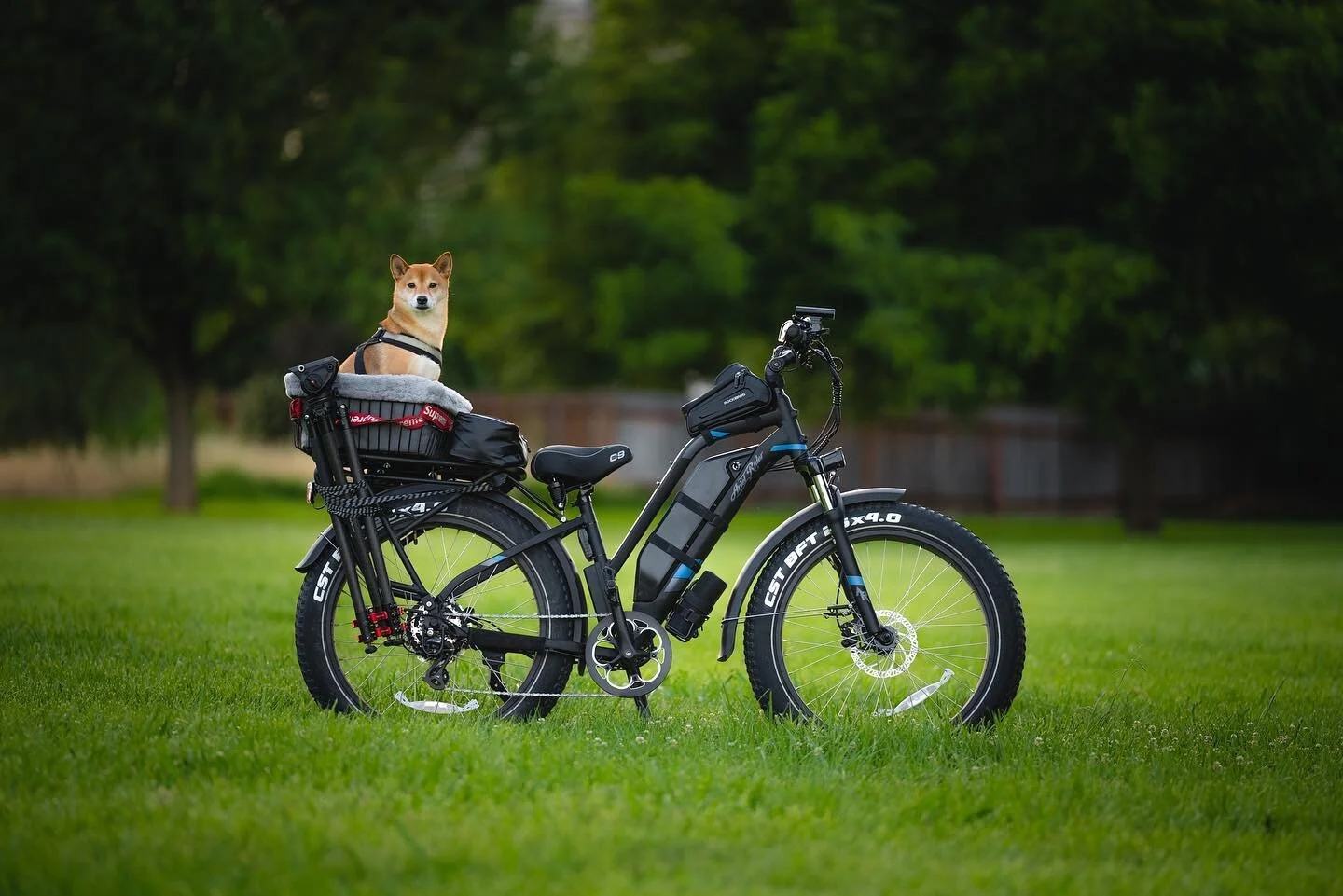 「 Kepler 」
.
Recently bought an eBike. Did research for about 3 months until I came across the Ariel Rider Kepler. This thing is a beast. 75+ mile range, 35+ mph speed with a 1000w nominal motor so less time charging, no range anxiety, and more explo
