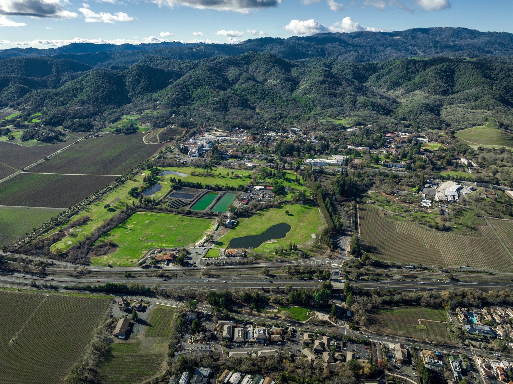 DJI_0390.jpg