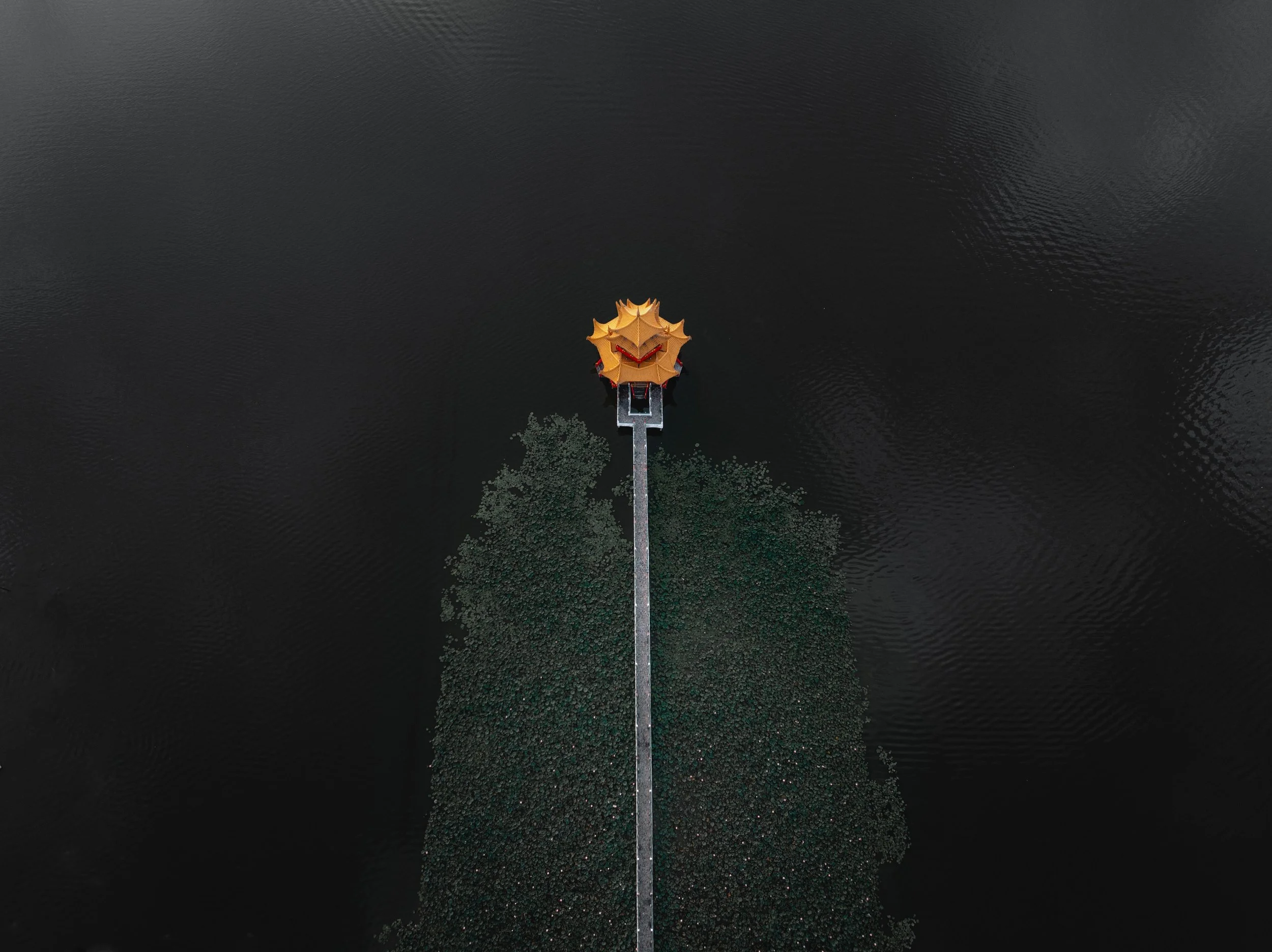 DJI_0819.jpg
