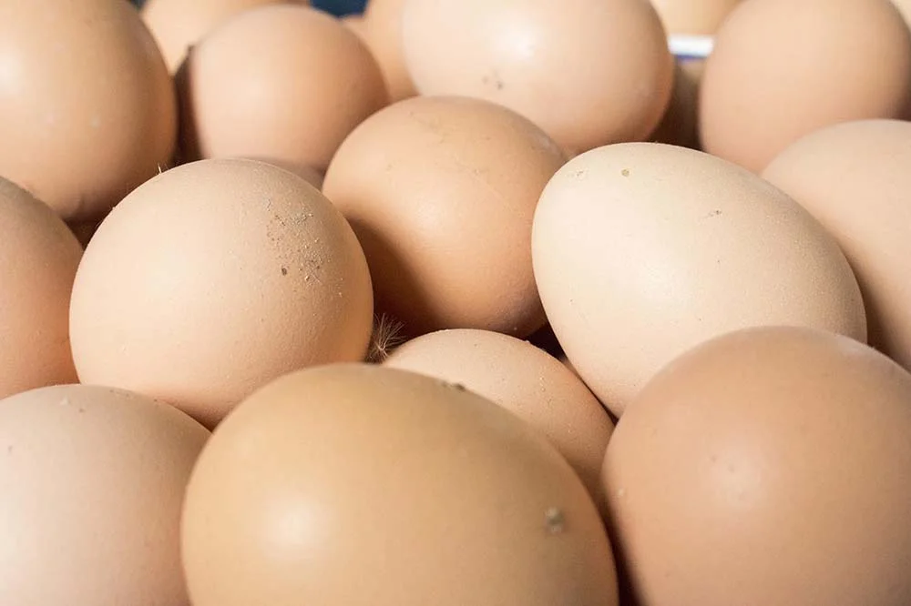 thunder_valley_egg_operation.jpg