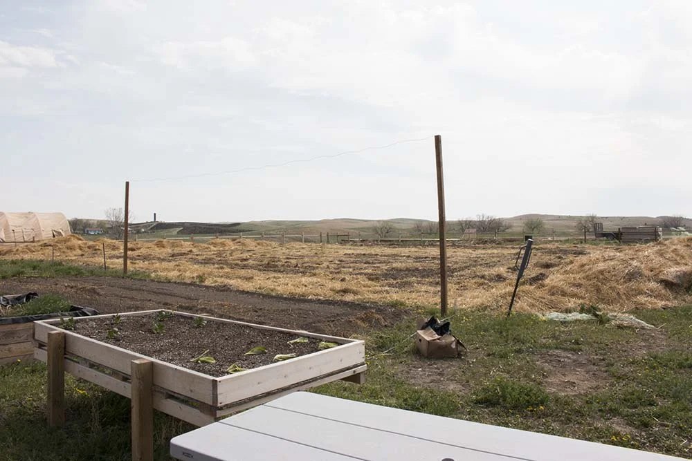 Raised garden beds at Thunder Valley.