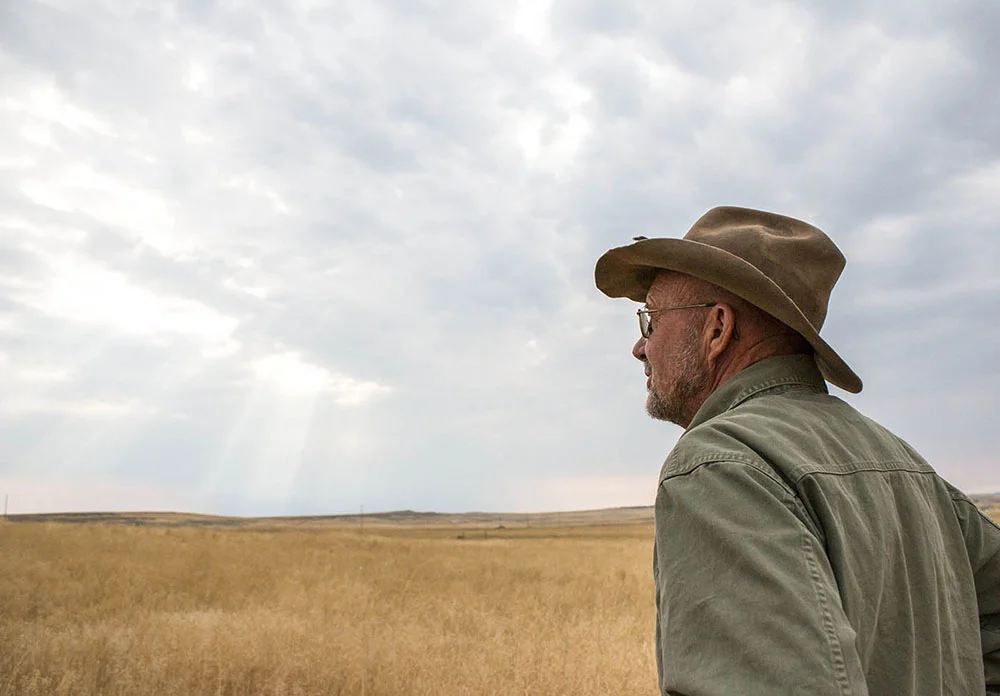 Steve looks out across the field as the sun rises in Shepherd, Montana.