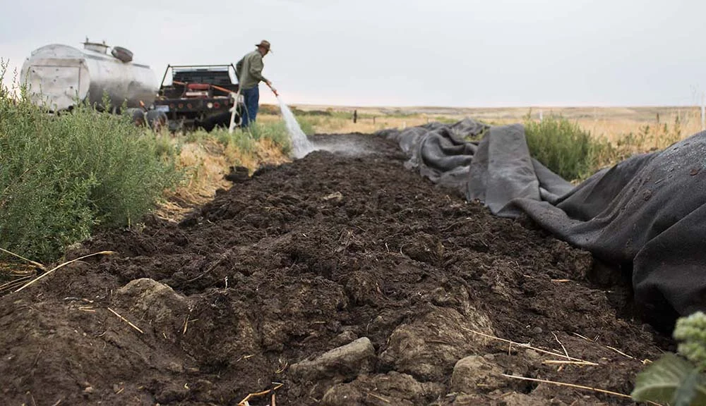 Steve waters the soil before covering it to trap the moisture into the ground.