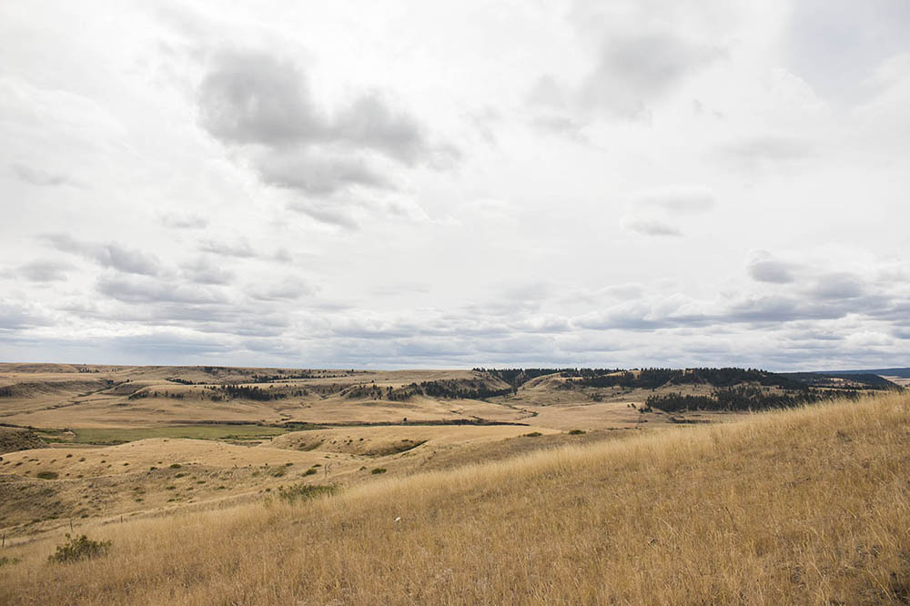 Grass Range, Montana.