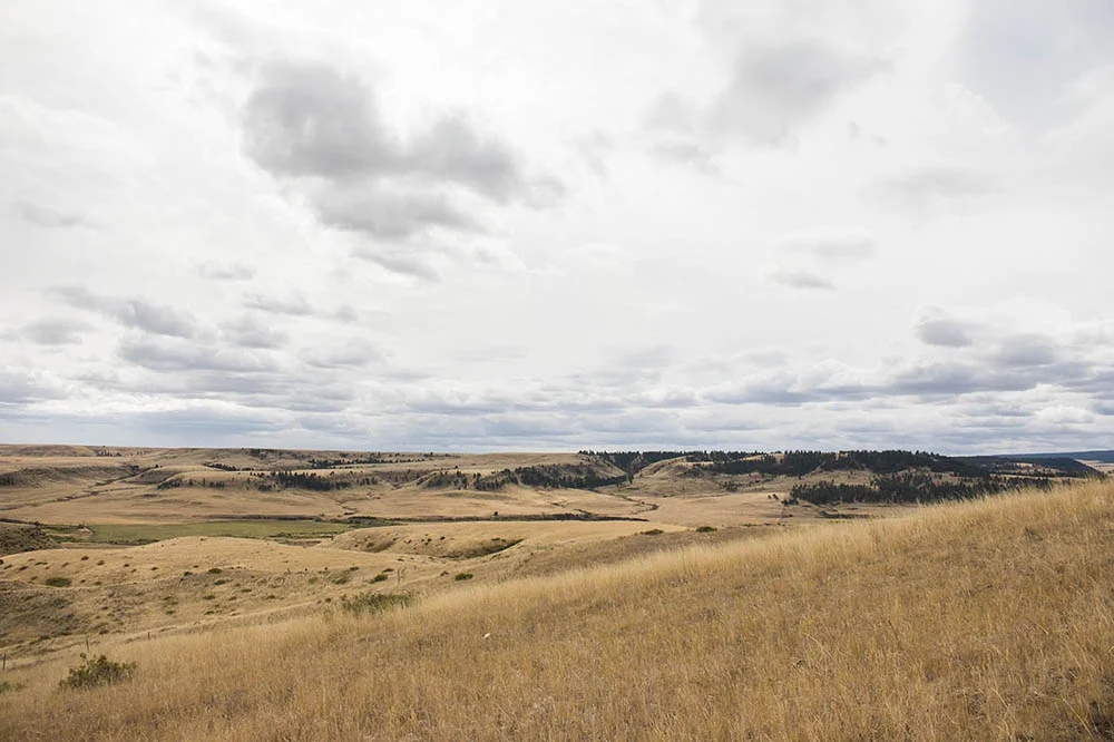   Grass Range, Montana.  