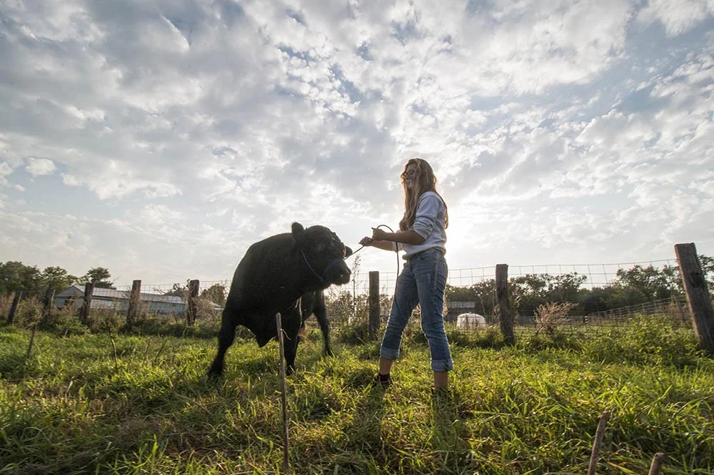   Kristi's youngest daughter, Kylie Mogen, stands with a steer. Kylie is the president of 4H at her high school and wants to be an environmental lawyer one day.  