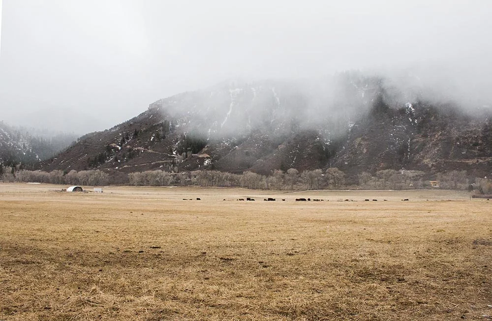 Pasture at Ferguson Family Ranches in Ridgway, Colorado.