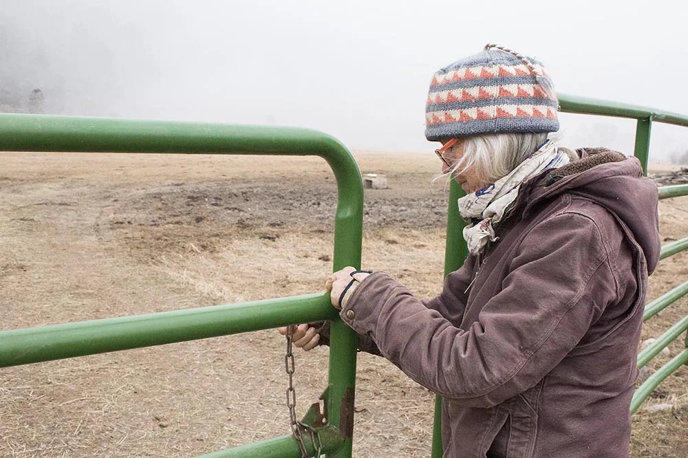 Liza opens a gate to check cows on pasture.