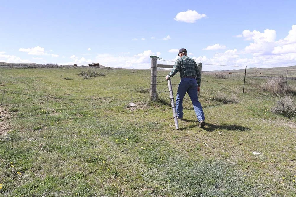   Justin opening the gate to check cows.  