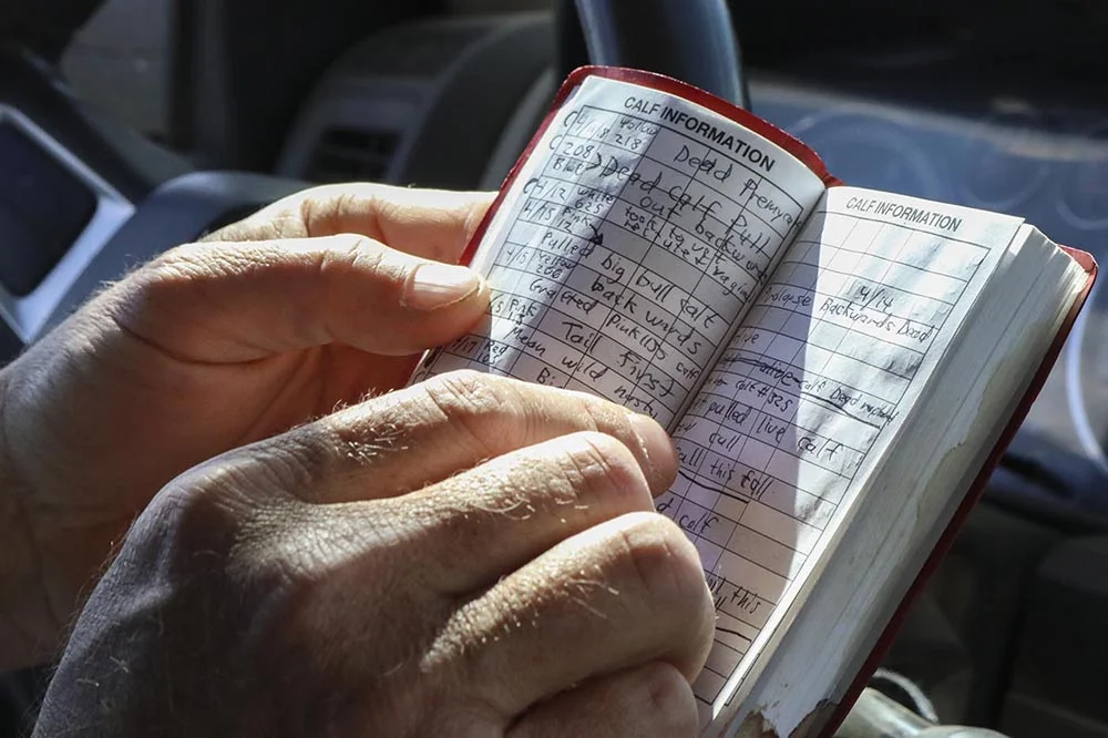 Justin keeps detailed notes on all the calves.