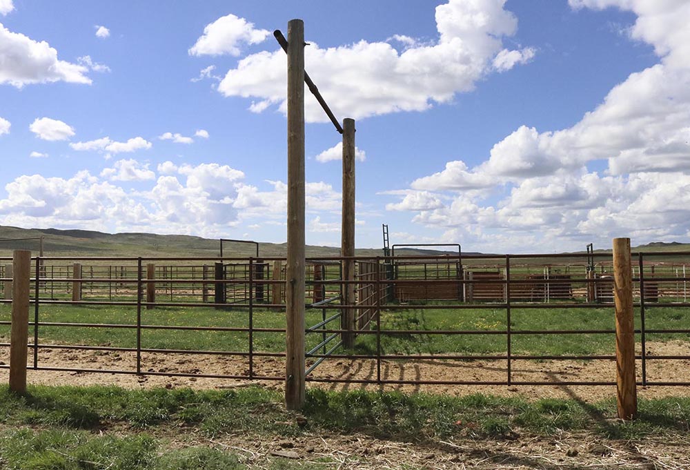 Corrals at Empire Ranch.