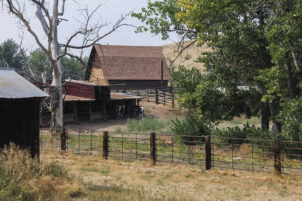 Birney, Montana.