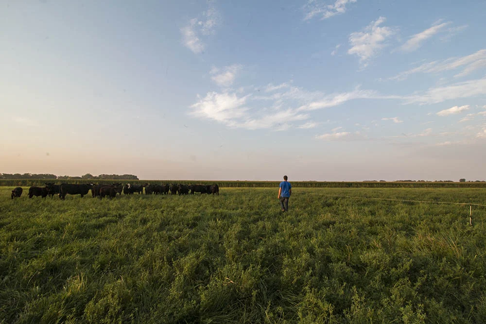   Sean on a pasture at Hyatt Family Farm.  