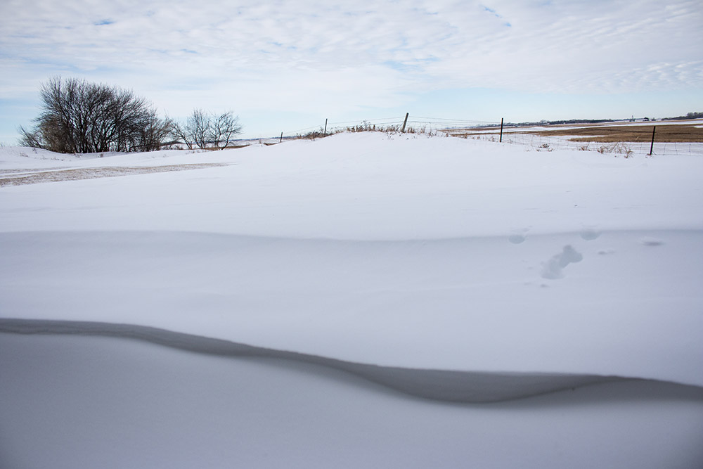 A few hundred yards from the proposed CAFO operation.