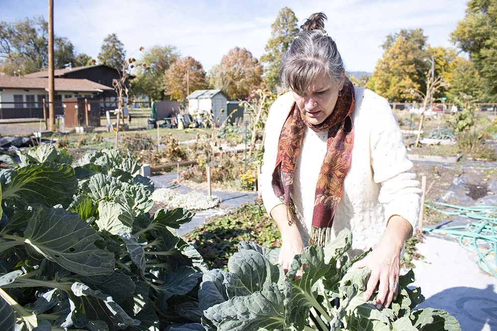 Ellen examines her greens at her plot at the community garden.