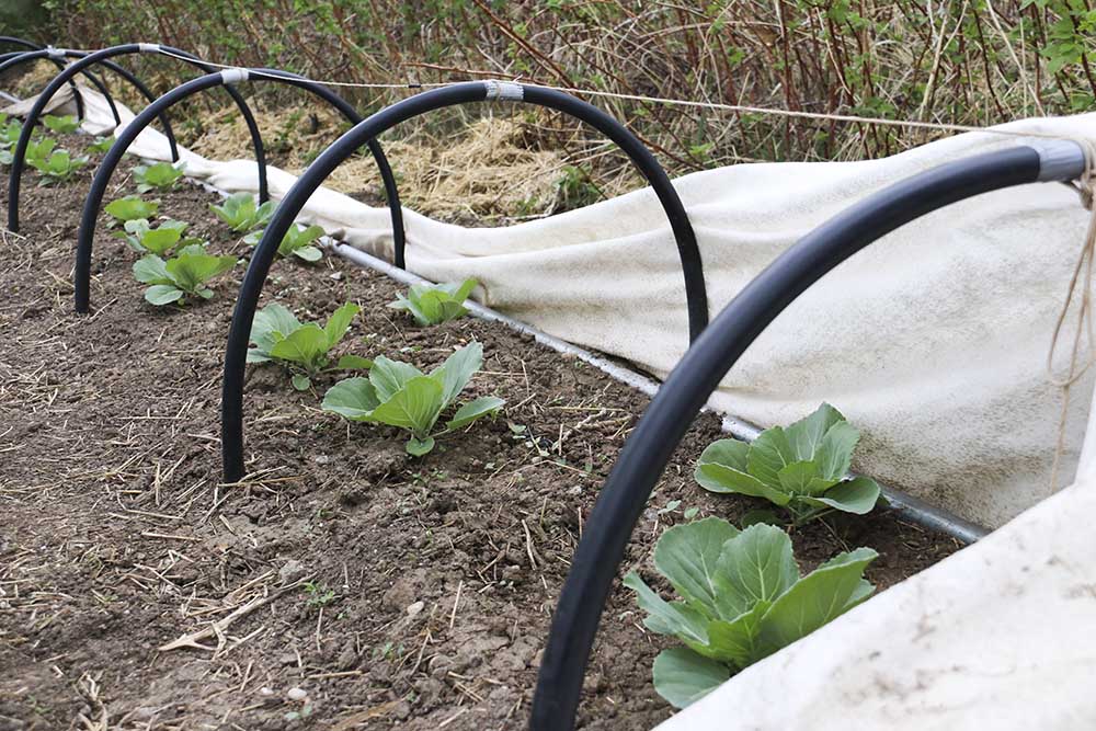 garden_details.jpg