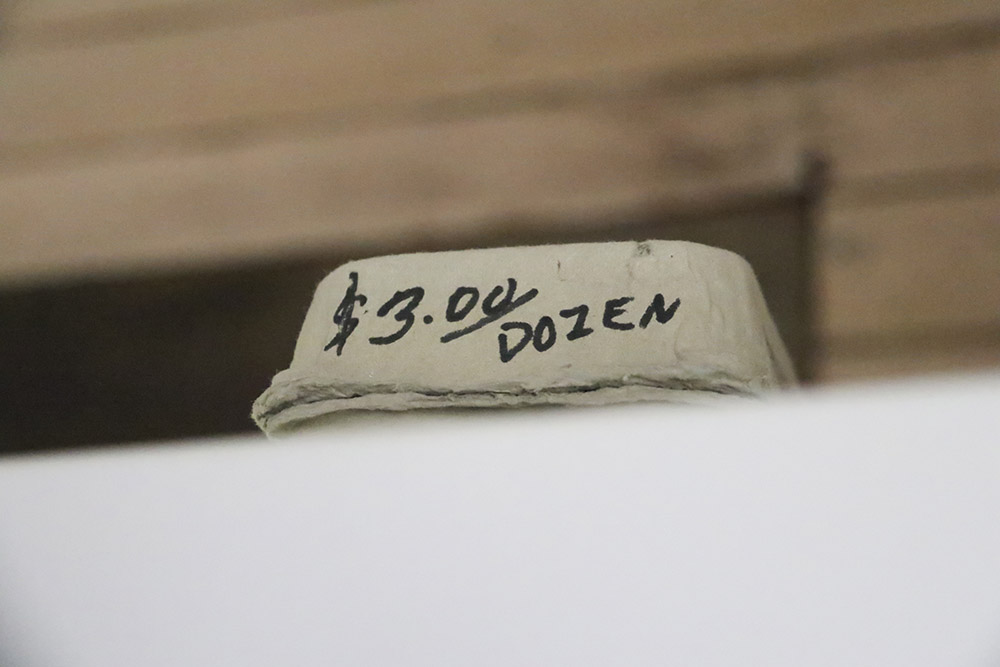 egg_carton.jpg
