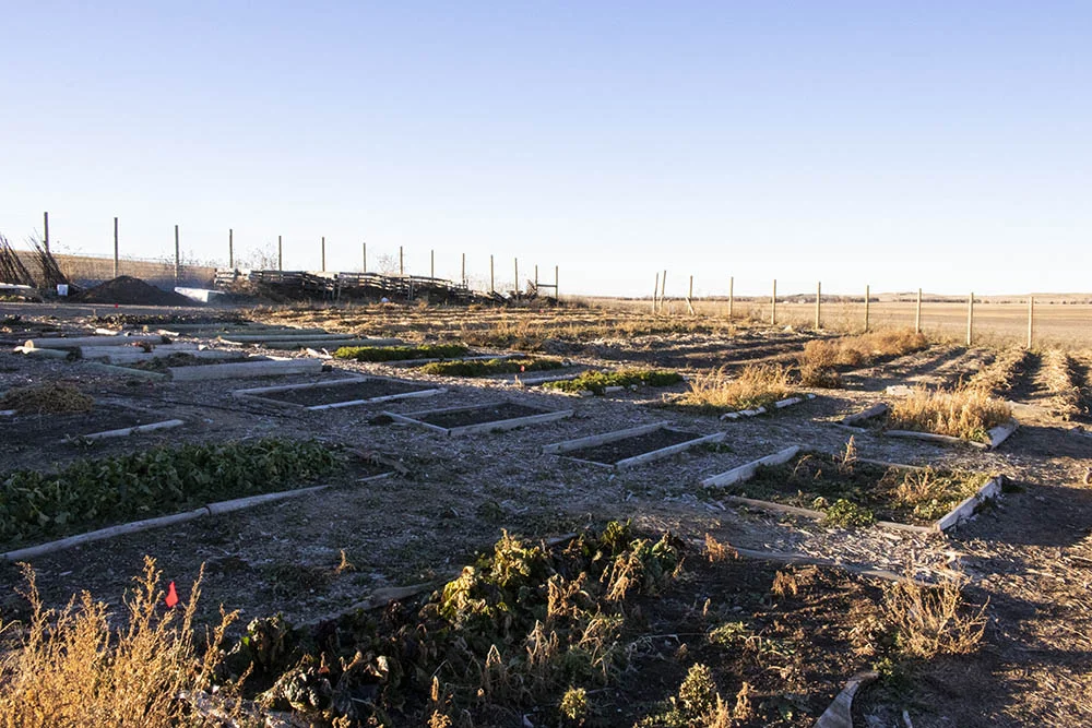 The Keya Wakpala Garden, a one-acre teaching and production community garden, on the Rosebud Reservation.