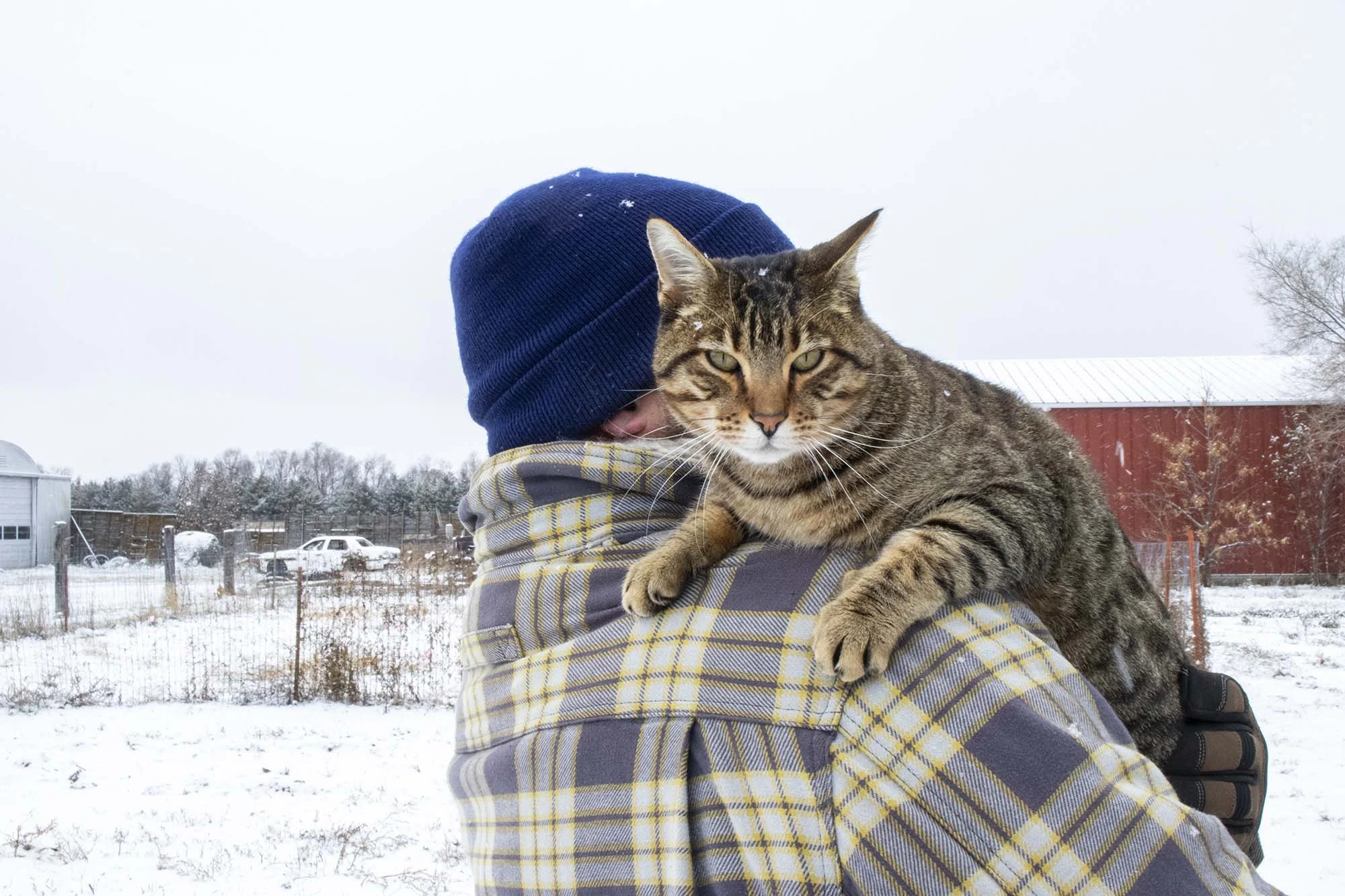 Matt Geraets and farm cat Gerald at B&G Produce, 20 miles east of Pierre, South Dakota.