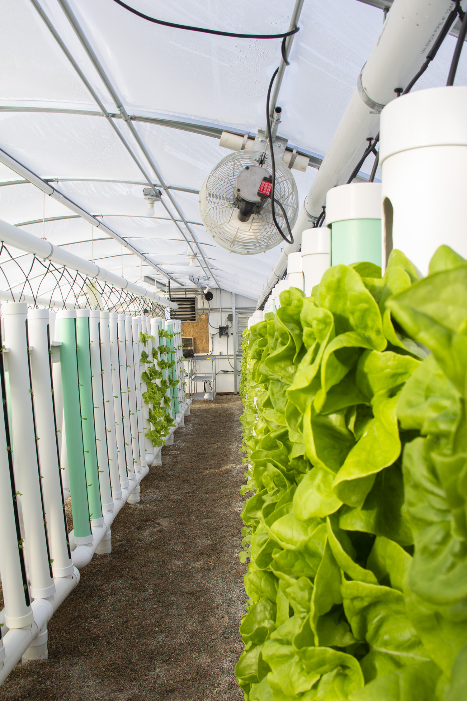 vertical_farming.jpg