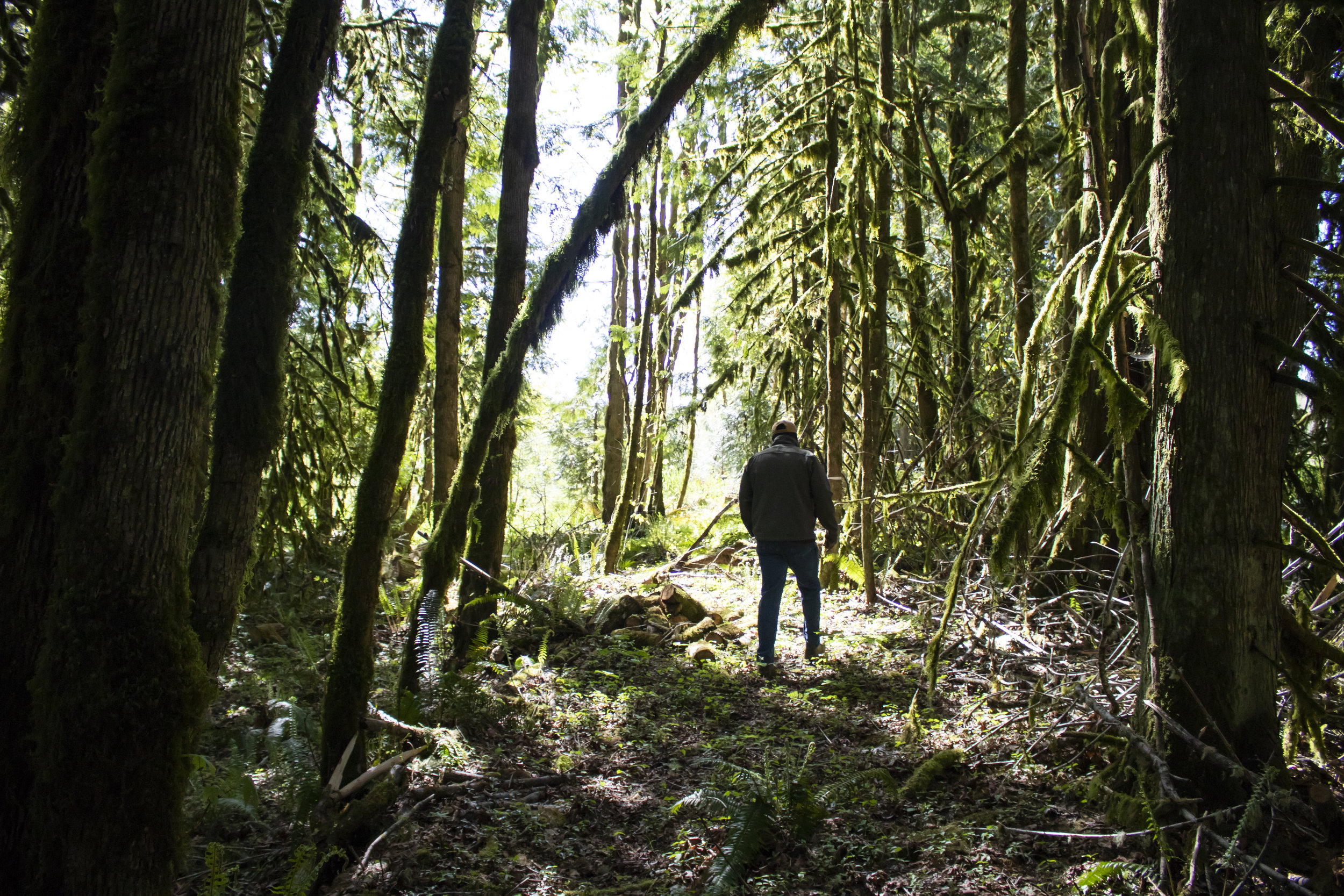   Rohn walks through a wooded area of the farm. He has worked hard to restore the property.  