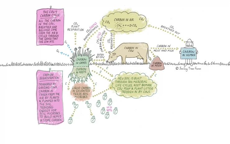    Image courtesy of Smiling Tree Farms.   