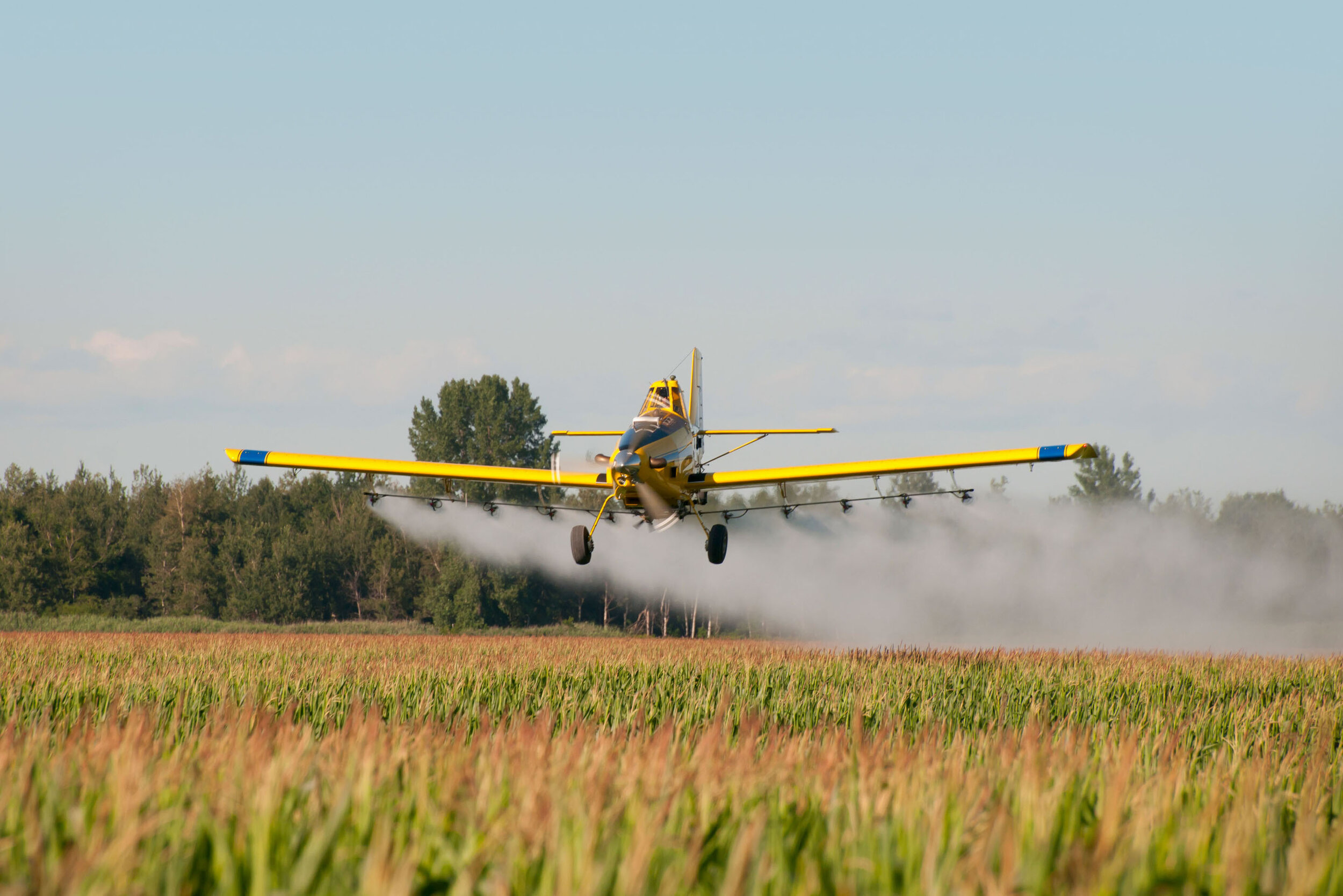 Crop Duster.jpg