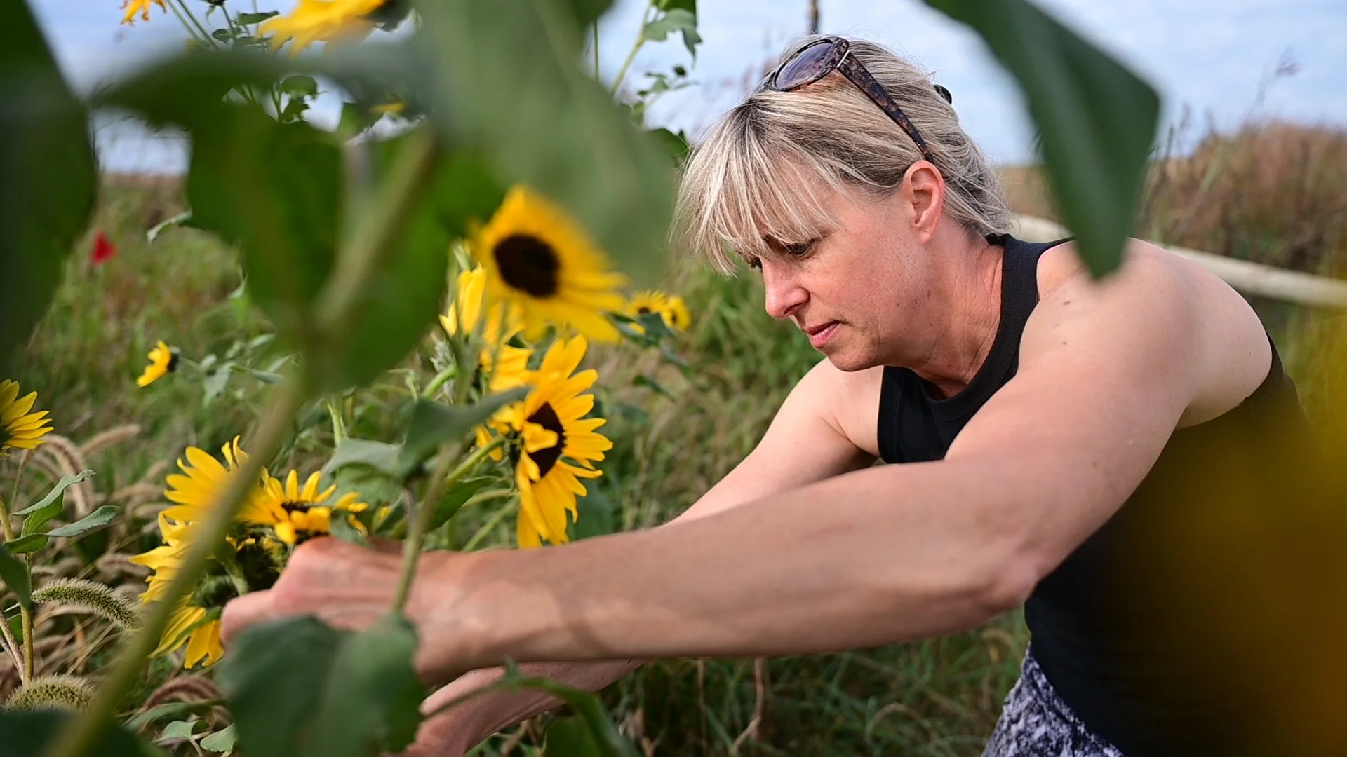 Fruit of the Coop | It's your Business, Life, and Community all Wrapped up in one