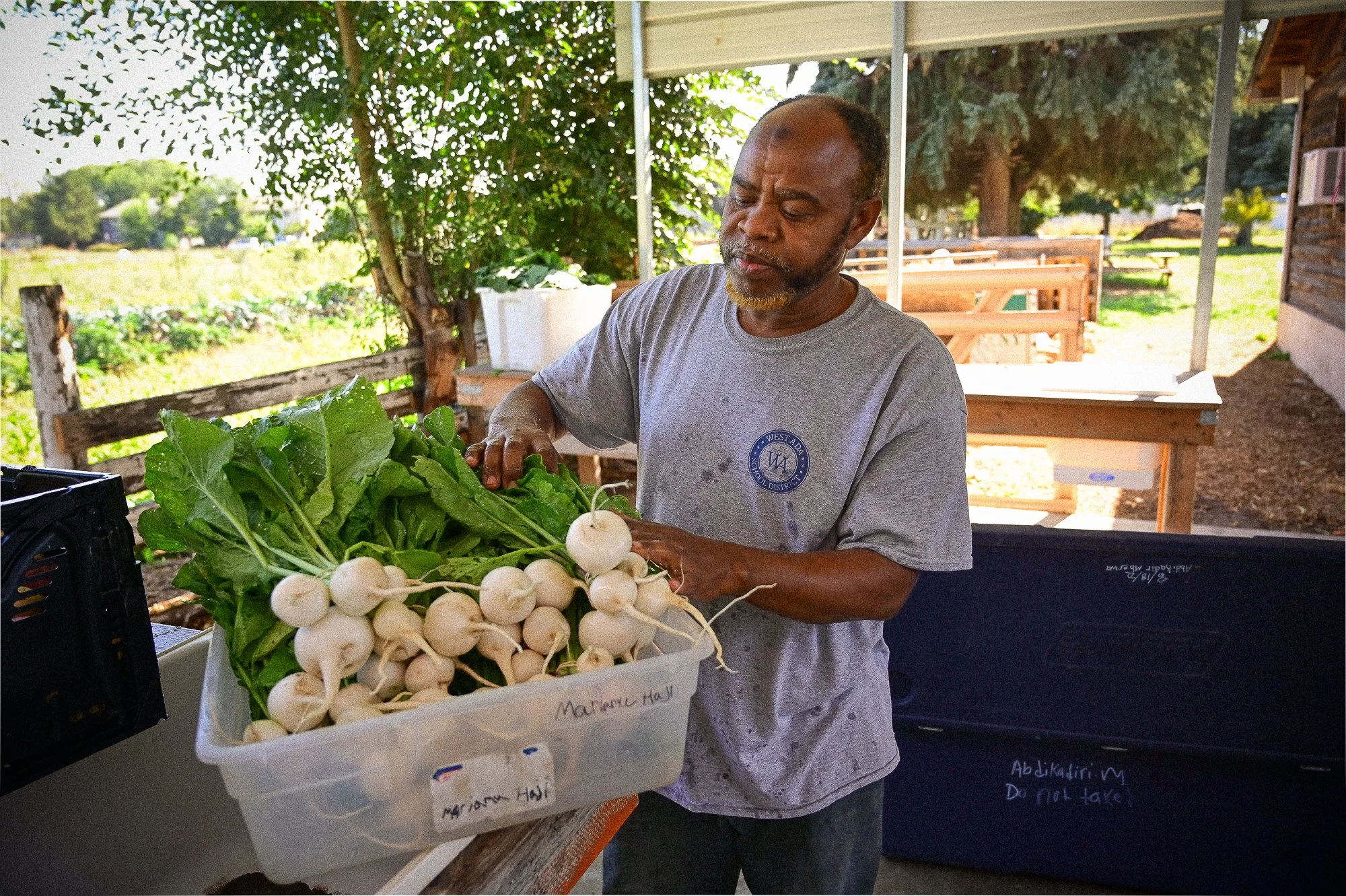    Abdikadir Mwerba prepares produce for sale.    