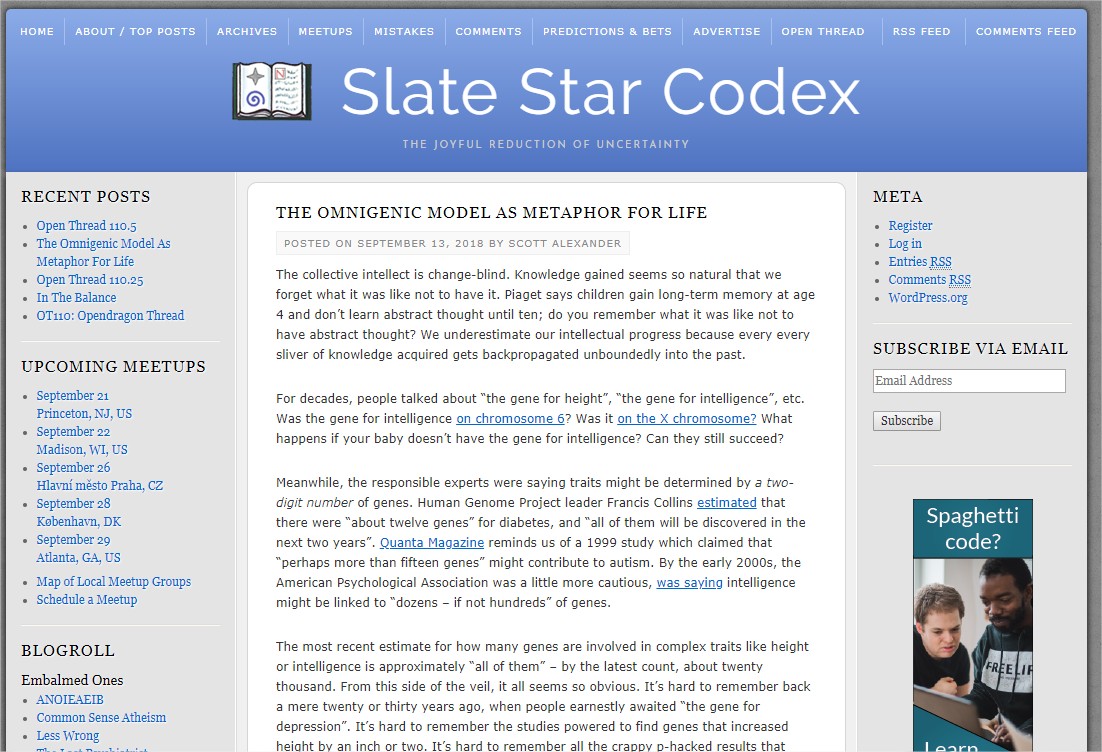 Slate Star Codex - Google Chrome.jpg