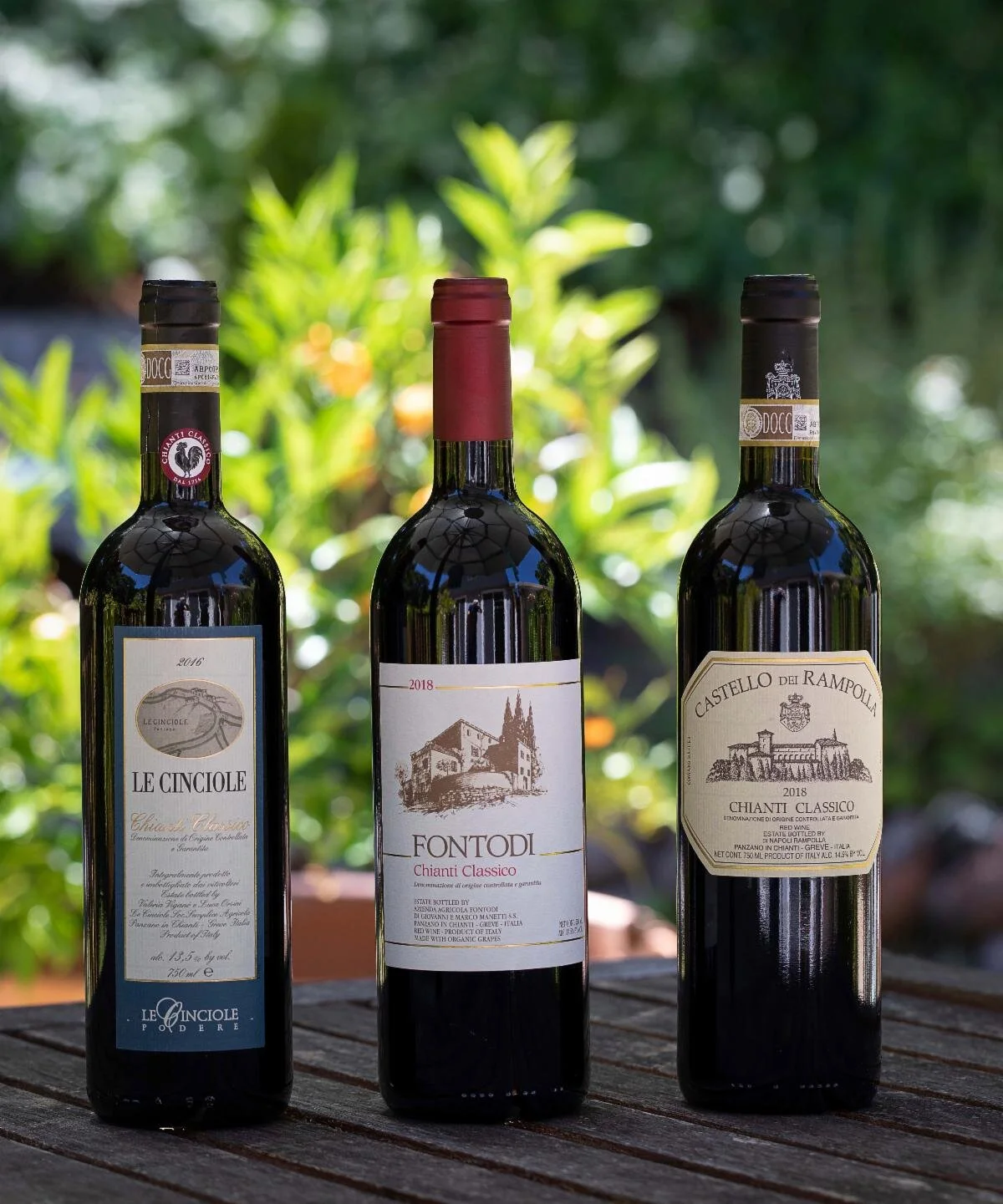 04 A Study in Terroir- Panzano in Chianti .jpeg