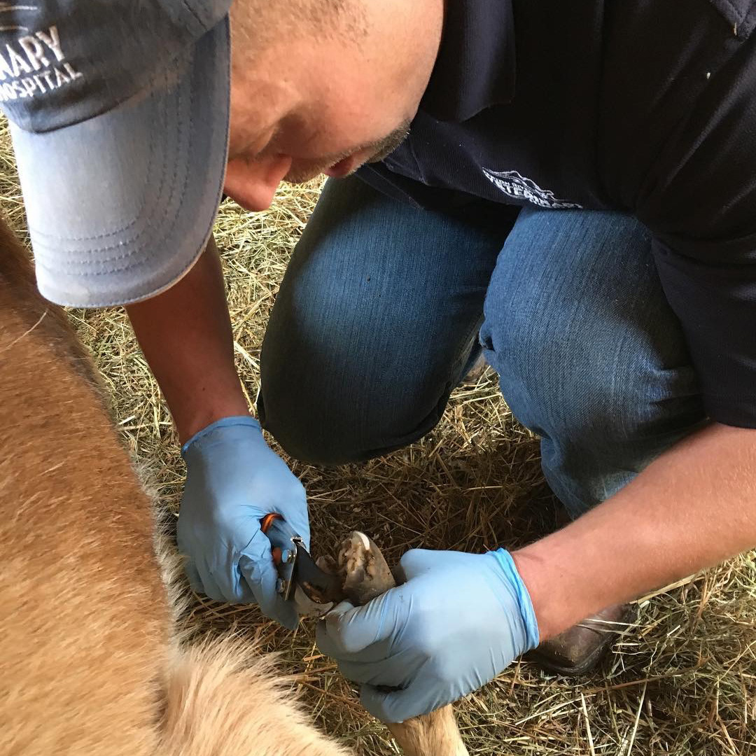 Riley Farm Rescue Volunteer Image 3.jpg